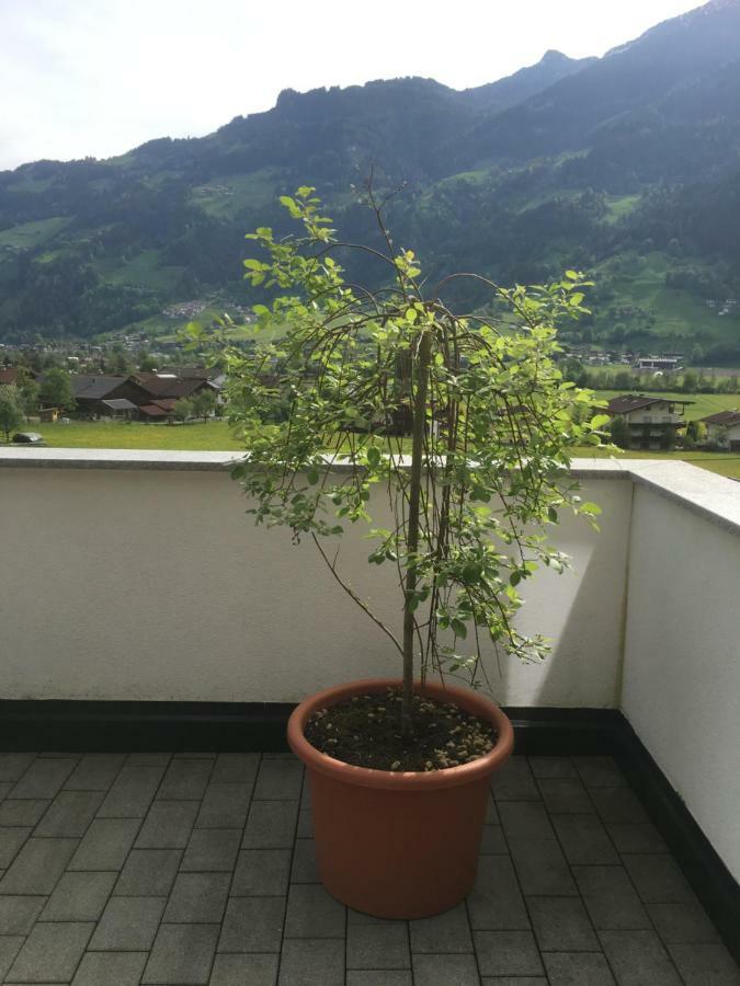 Ferienwohnung Walder Mayrhofen Εξωτερικό φωτογραφία